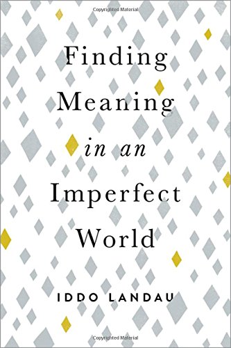 Finding Meaning In An Imperfect World 1st Edition Iddo Landau