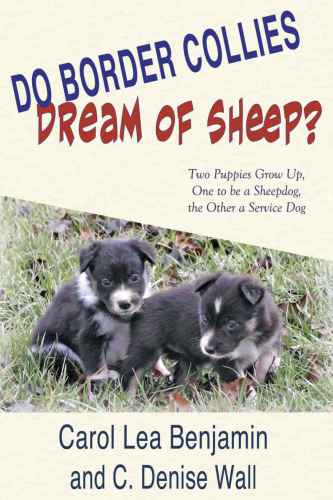 Do Border Collies Dream Of Sheep Benjamin Carol Lea Wall C Denise