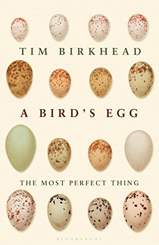 The Most Perfect Thing Inside And Outside A Birds Egg Tim Birkhead