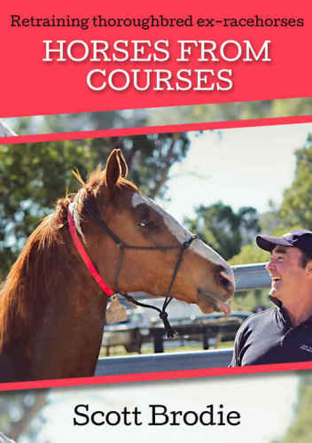 Horses From Courses Retraining Thoroughbred Exracehorses Brodie