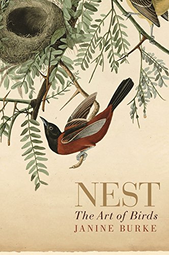 Nest The Art Of Birds Burke Janine