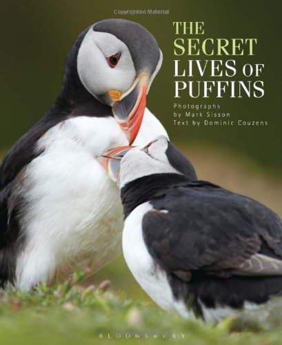 The Secret Lives Of Puffins Couzens Dominic Sisson Mark