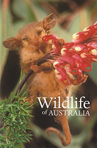 Wildlife Of Australia Louise Egerton Jiri Lochman Michael Archer