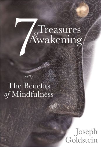 7 Treasures Of Awakening The Benefits Of Mindfulness Goldstein