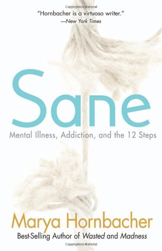 Sane Mental Illness Addiction And The Twelve Steps Hornbacher