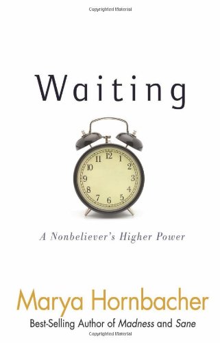 Waiting A Nonbelievers Higher Power 1st Edition Hornbacher
