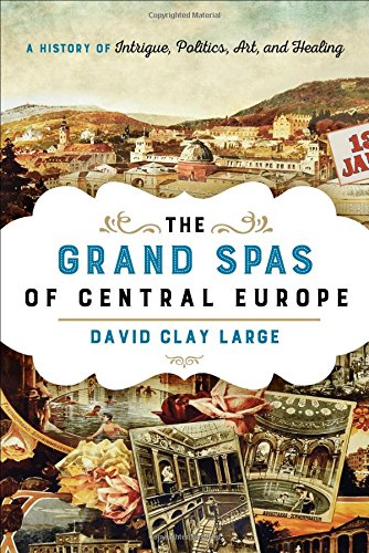 The Grand Spas Of Central Europe A History Of Intrigue Politics Art And Healing David Clay Large