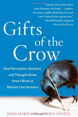 Gifts Of The Crow 1st Edition John Marzluff Tony Angell