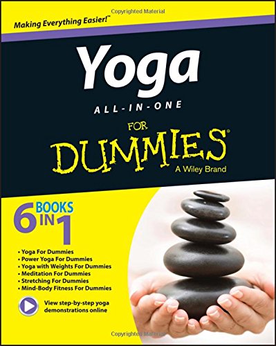 Yoga Allinone For Dummies 1st Edition Larry Payne Georg Feuerstein