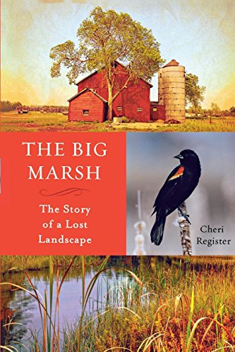 The Big Marsh The Story Of A Lost Landscape 1st Edition Register