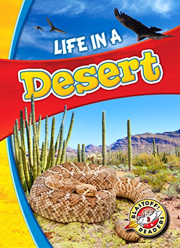 Life In A Desert Schuetz Kari