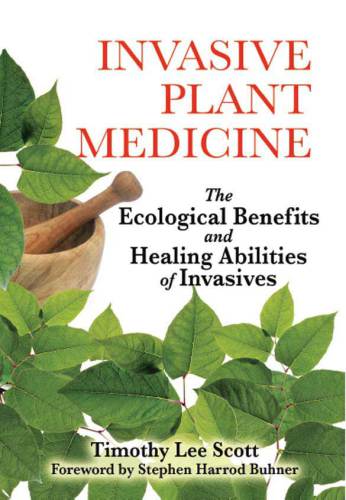 Invasive Plant Medicine The Ecological Benefits And Healing Abilities Of Invasives Scott