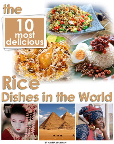 The 10 Most Delicious Rice Dishes In The World Suleiman Amina