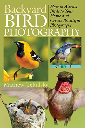 Backyard Bird Photography How To Attract Birds To Your Home And Create Beautiful Photographs Mathew Tekulsky