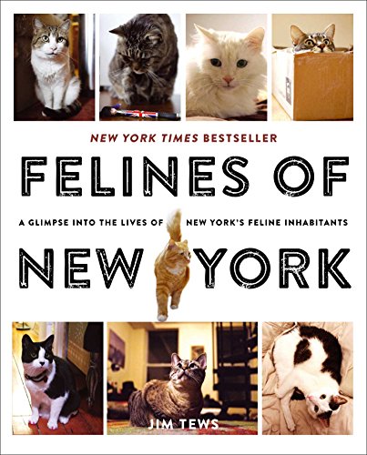 Felines Of New York A Glimpse Into The Lives Of New Yorks Feline Inhabitants First Simon Schuster Trade Paperback Edition Jim Tews