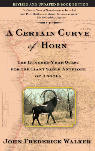 A Certain Curve Of Horn The Hundredyear Quest For The Giant Sable Antelope Of Angola Walker