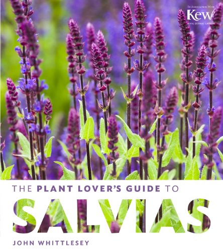 The Plant Lovers Guide To Salvias John Whittlesey