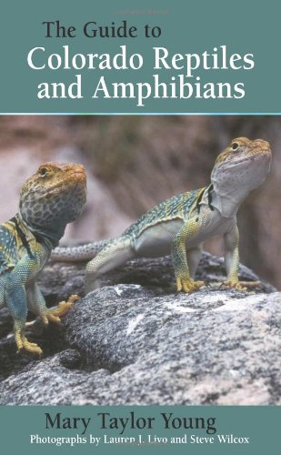 The Guide To Colorado Reptiles And Amphibians Young Mary Taylor
