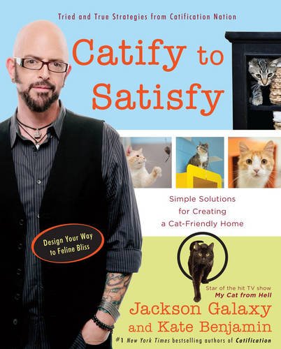 Catify To Satisfy Simple Solutions For Creating A Catfriendly Home Galaxy