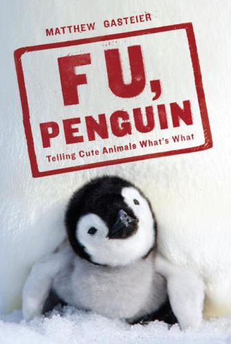 F U Penguin Telling Cute Animals Whats What Gasteier Matthew