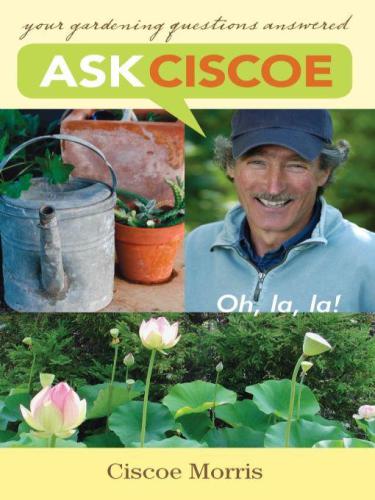 Ask Ciscoe Oh La La Your Gardening Questions Answered Morris