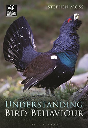Understanding Bird Behaviour Reprint Stephen Moss