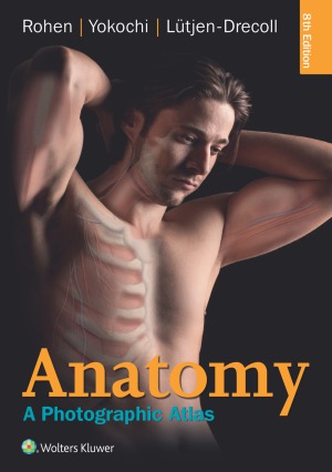 Anatomy A Photographic Atlas 8th Johannes W Rohen Chihiro Yokochi