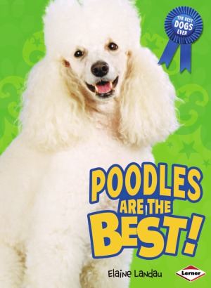 Poodles Are The Bestbest Dogs Ever Landau E