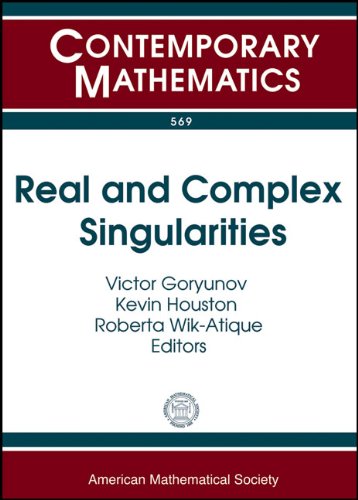 Real And Complex Singularities Xi International Workshop On Real And Complex Singularities July 2630 2010 Instituto De Ciencias Matematicas E De De Sao New Ed Victor Goryunov