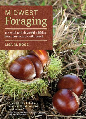 Midwest Foraging 115 Wild And Flavorful Edibles From Burdock To Wild Peach Book 5 Of 7 Of Regional Foraging Series Lisa M Rose