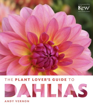The Plant Lovers Guide To Dahlias Andy Vernon