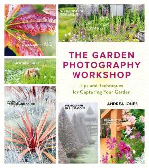 The Garden Photography Workshop Expert Tips And Techniques For Capturing The Essence Of Your Garden Andrea Jones