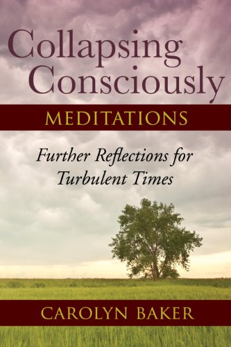 Collapsing Consciously Meditations Further Reflections For Turbulent Times Carolyn Baker