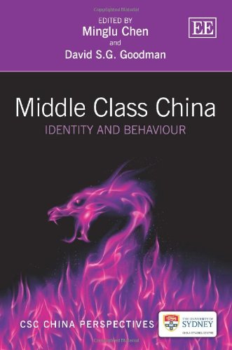 Middle Class China Identity And Behaviour Minglu Chen David Sg Goodman Eds