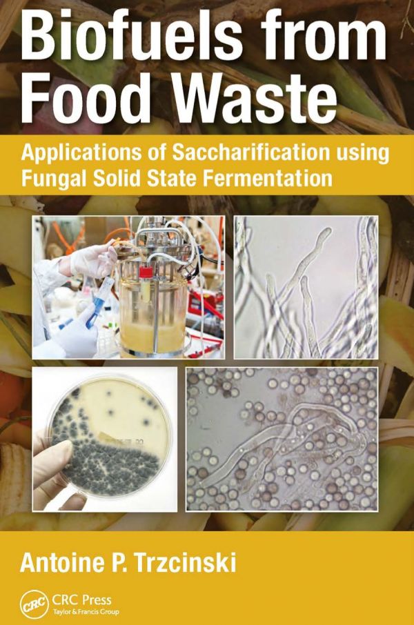 Biofuels From Food Waste Applications Of Saccharification Using Fungal Solid State Fermentation 1st Edition Antoine Prandota Trzcinski