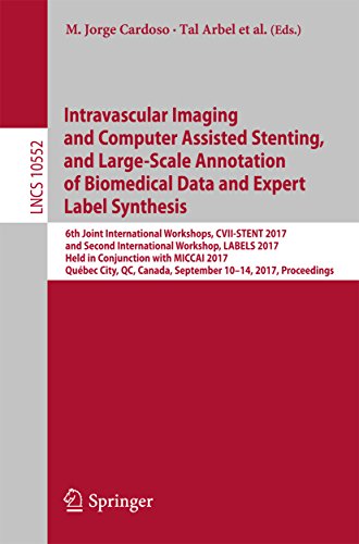 Intravascular Imaging And Computer Assisted Stenting And Largescale Annotation Of Biomedical Data And Expert Label Synthesis 6th Joint International Workshops Cviistent 2017 And Second International Workshop Labels 2017 Held In Conjunction With Mi Arbel