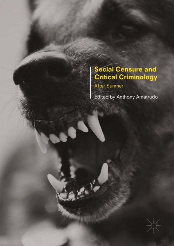 Social Censure And Critical Criminology After Sumner Anthony Amatrudo Ed