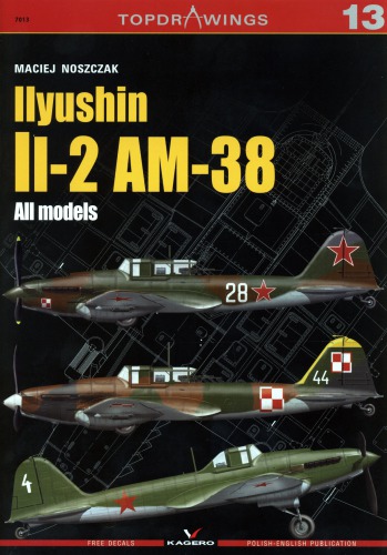 Ilyushin Il2 Am38 All Models Maciej Noszczak