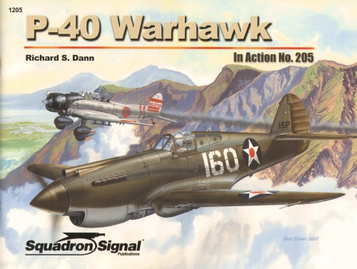P40 Warhawk Richard S Dann
