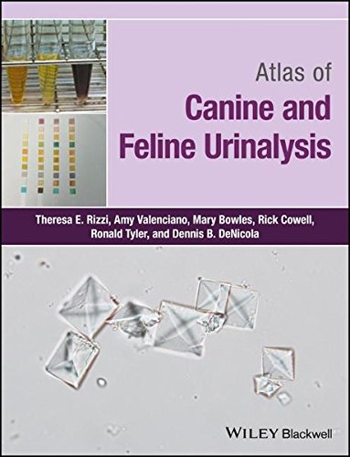 Atlas Of Canine And Feline Urinalysis 1st Edition Theresa E Rizzi
