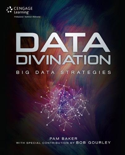 Data Divination Big Data Strategies 1st Edition Pam Baker Bob Gourley
