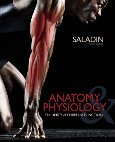 Anatomy Physiology The Unity Of Form And Function 6th Kenneth Saladin