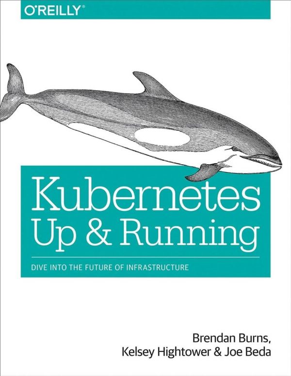 Kubernetes Up And Running Dive Into The Future Of Infrastructure 1st Edition Kelsey Hightower