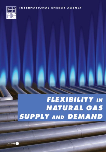 Flexibility In Natural Gas Supply And Demand Oecd
