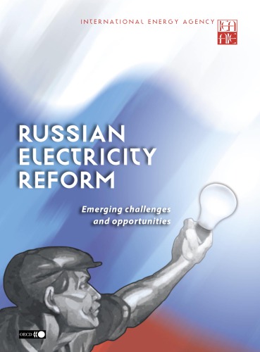 Russian Electricity Reform Emerging Challenges And Opportunities Oecd