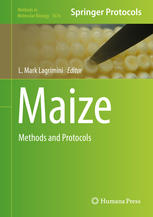 Maize Methods And Protocols 1st Edition L Mark Lagrimini Eds