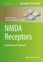Nmda Receptors Methods And Protocols 1st Edition Nail Burnashev