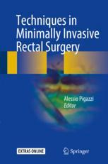 Techniques In Minimally Invasive Rectal Surgery 1st Edition Alessio Pigazzi Eds