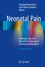 Neonatal Pain Suffering Pain And Risk Of Brain Damage In The Fetus And Newborn 2nd Edition Giuseppe Buonocore