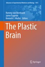 The Plastic Brain 1st Edition Rommy Von Bernhardi Jaime Eugenn